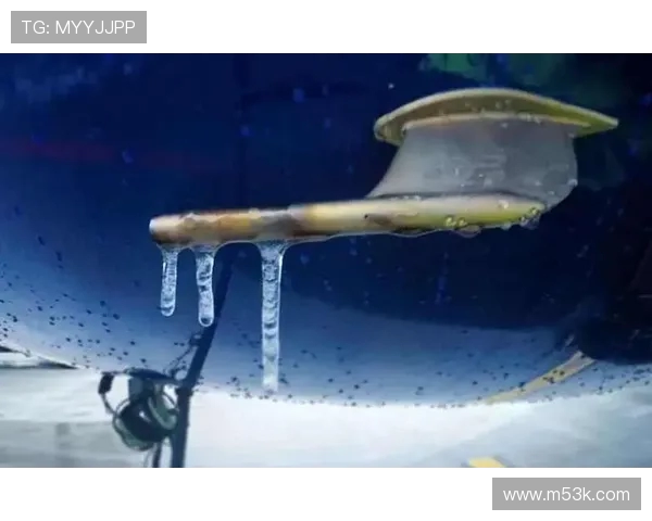 飞机机翼前缘防冰的流场热平衡